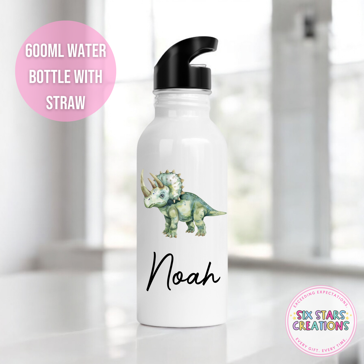 Stainless Steel Water Bottle With Straw - DINO