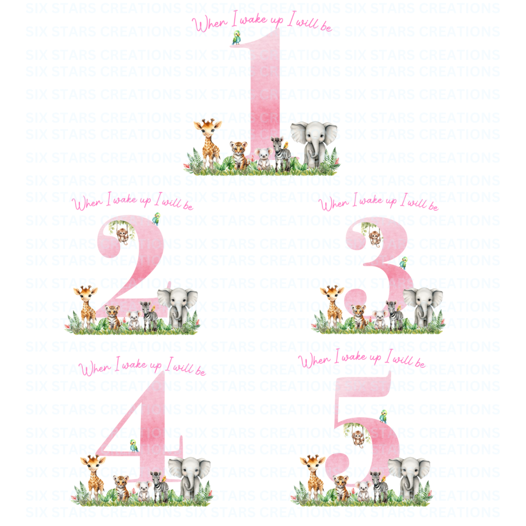 Personalised Birthday Pyjamas - Pink Safari Number