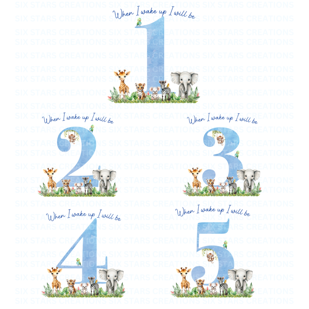 Personalised Birthday Pyjamas - Blue Safari Number