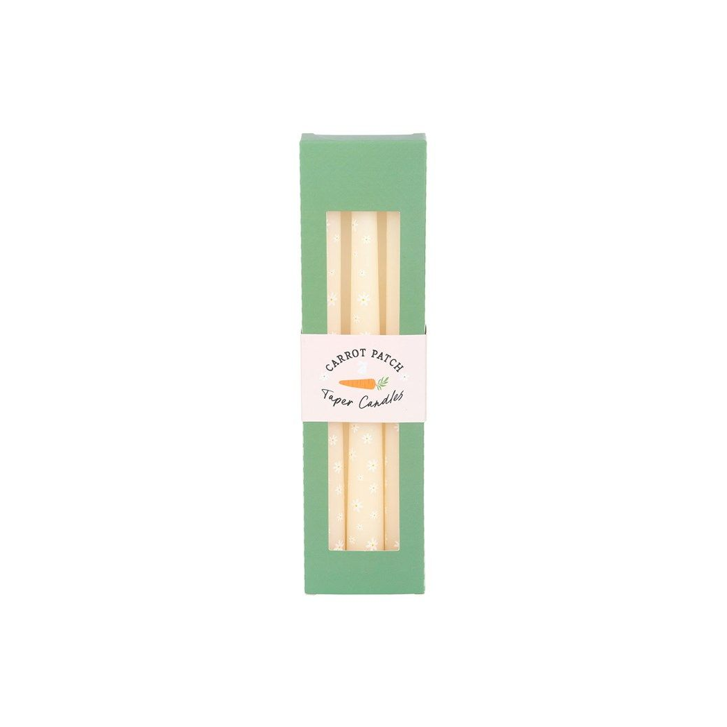 Set of 3 Carrot Patch Daisy Taper Candles