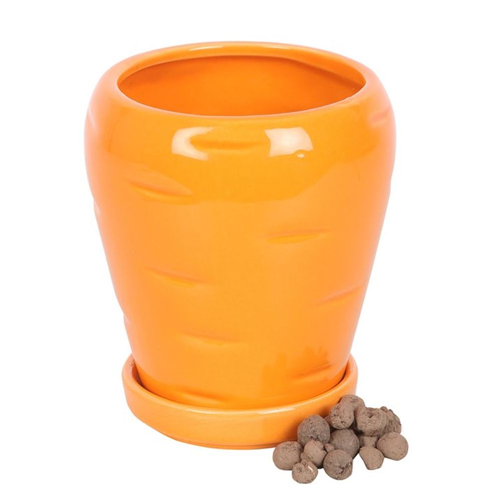 Carrot Shaped Plant Pot with Parsley Seed Balls